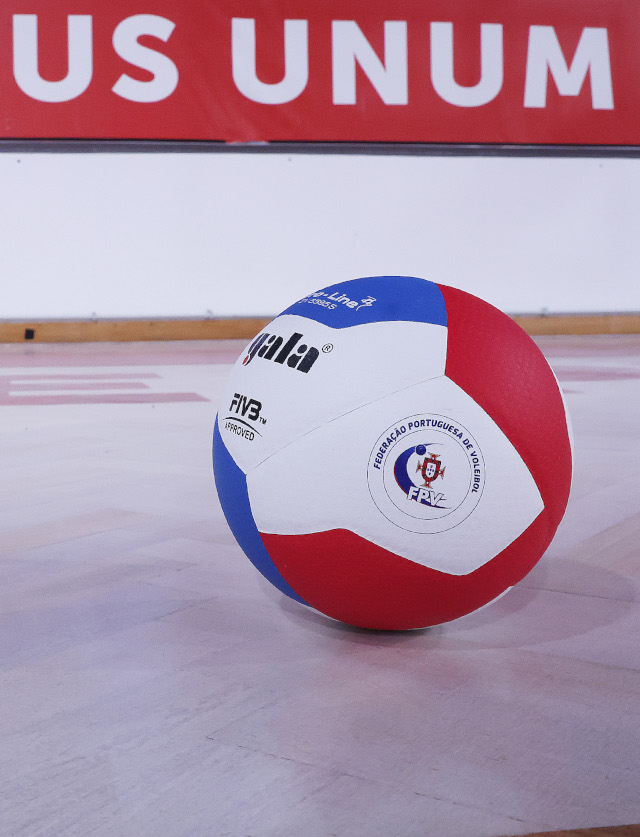 Voleibol feminino