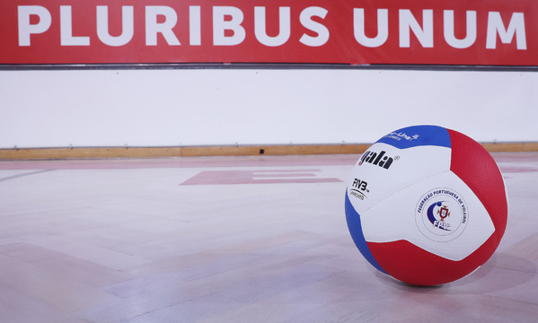 Voleibol feminino