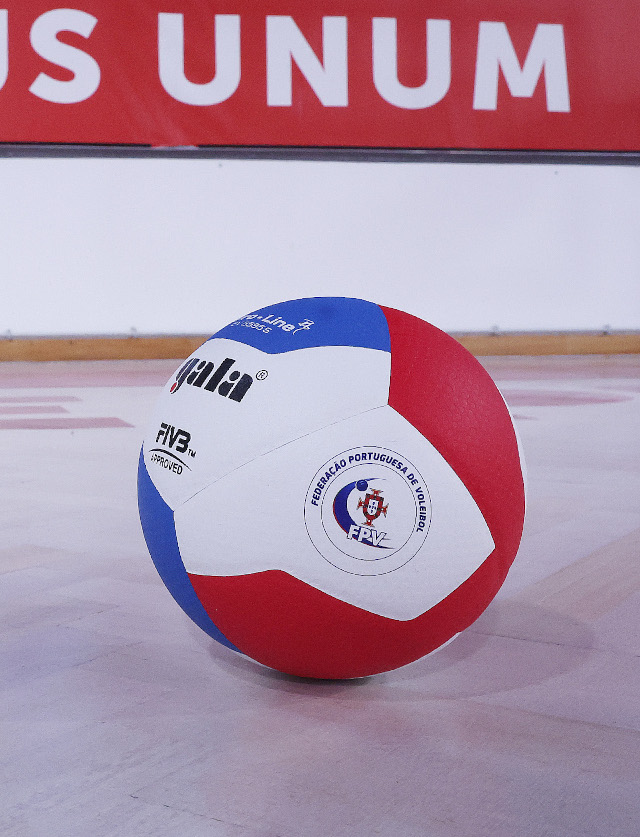 Voleibol
