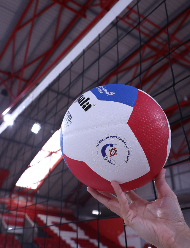 Voleibol