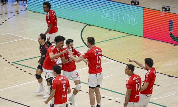 Os festejos dos jogadores do Benfica