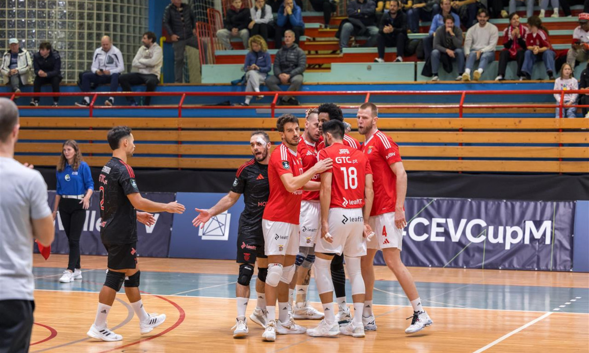 Calcit Kamnik-Benfica