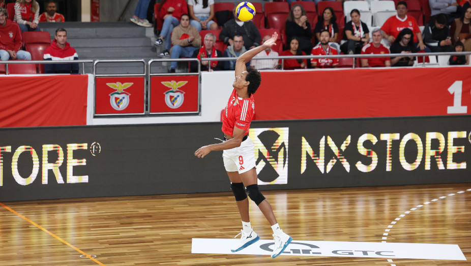 Benfica-Volley Haasrode Leuven