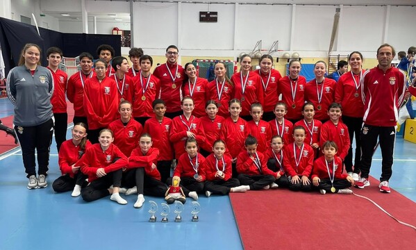 Benfica em destaque nos regionais de gin&#225;stica