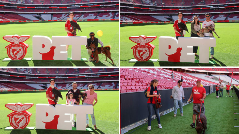 Benfica Pet