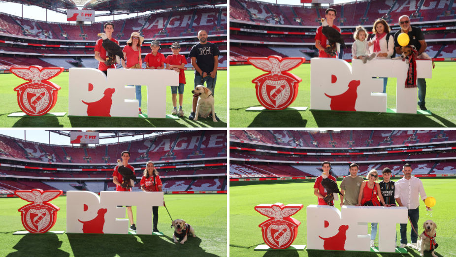 Benfica Pet