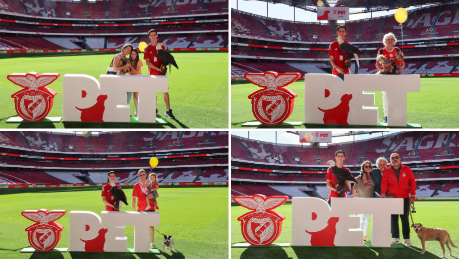 Benfica Pet