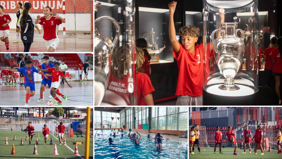 Fundação Benfica