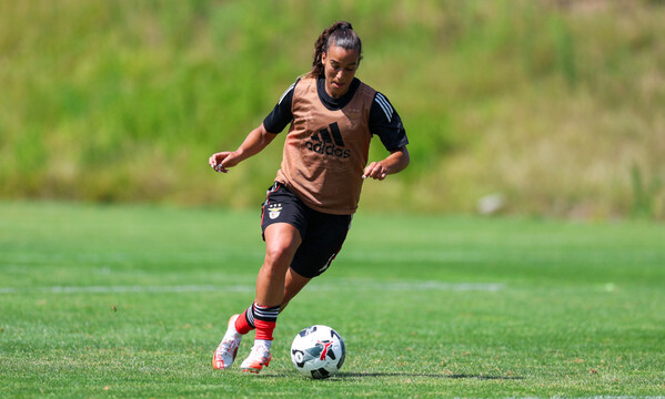 Andreia Norton