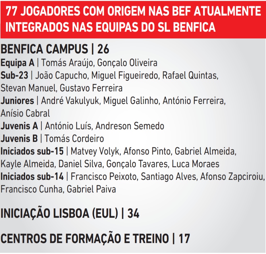 Benfica Escolas de Futebol 