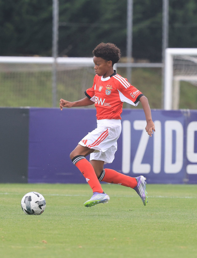 Daniel Silva fez a assist&#234;ncia para o golo do Benfica