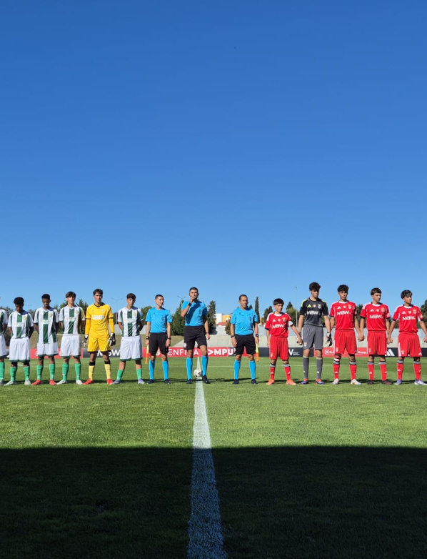 Benfica-Vit&#243;ria FC