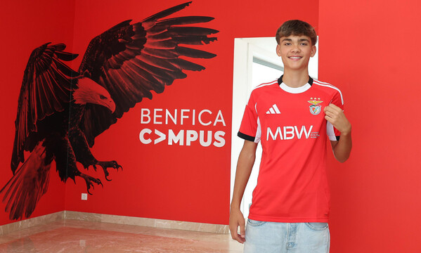 Louren&#231;o Meireles