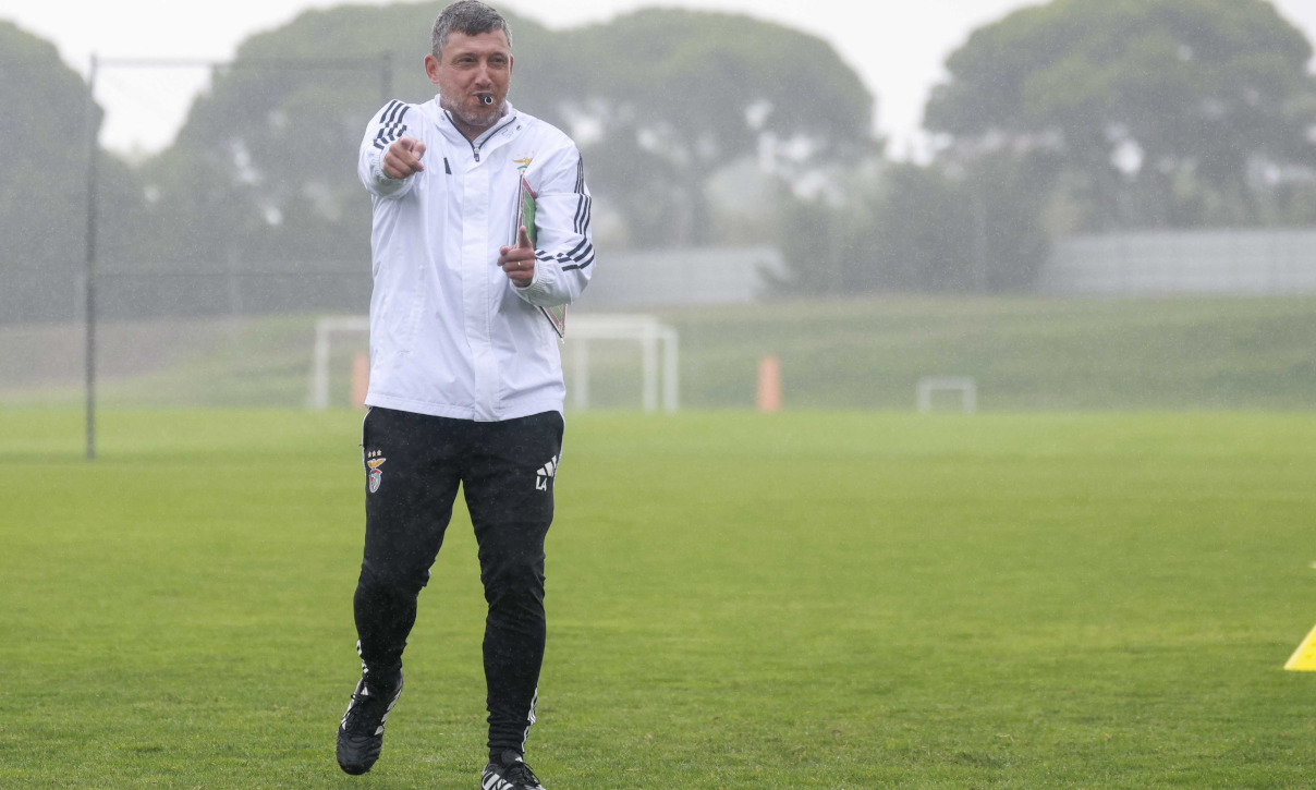 Luís Araújo