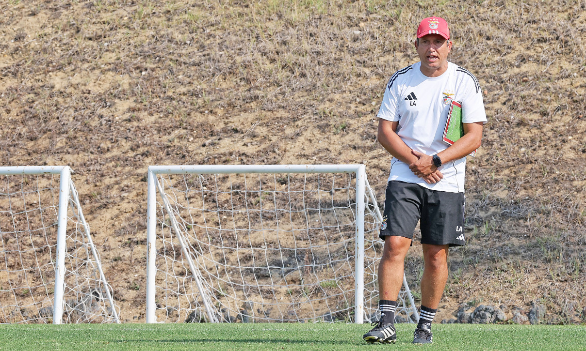 Luís Araújo