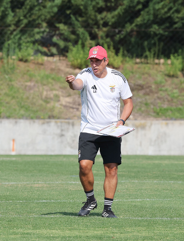 Lu&#237;s Ara&#250;jo