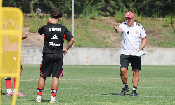 Lu&#237;s Ara&#250;jo