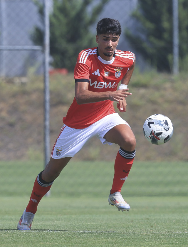 Tom&#225;s Ferreira