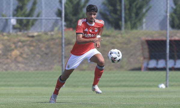 Tom&#225;s Ferreira