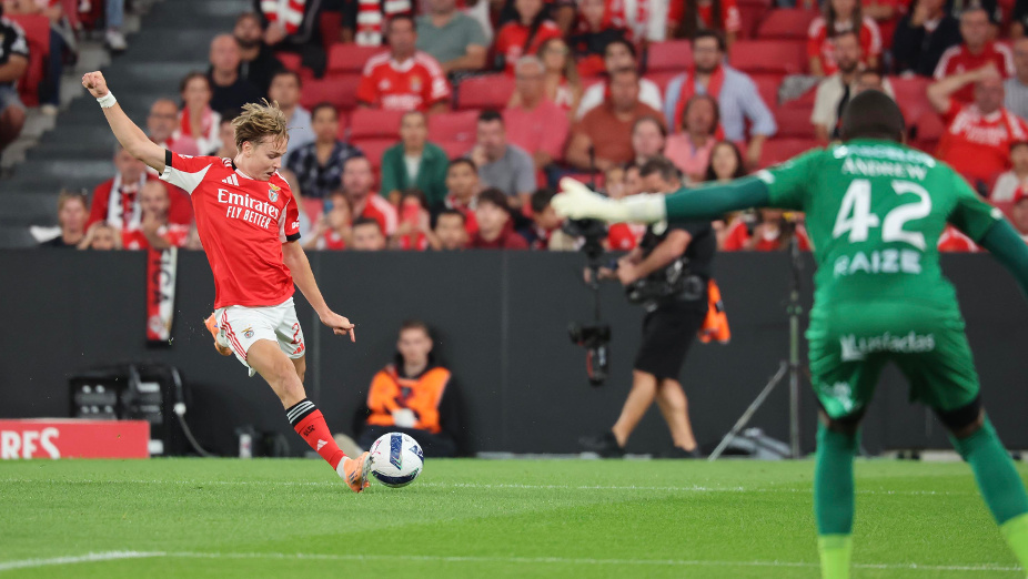Benfica-Gil Vicente-19