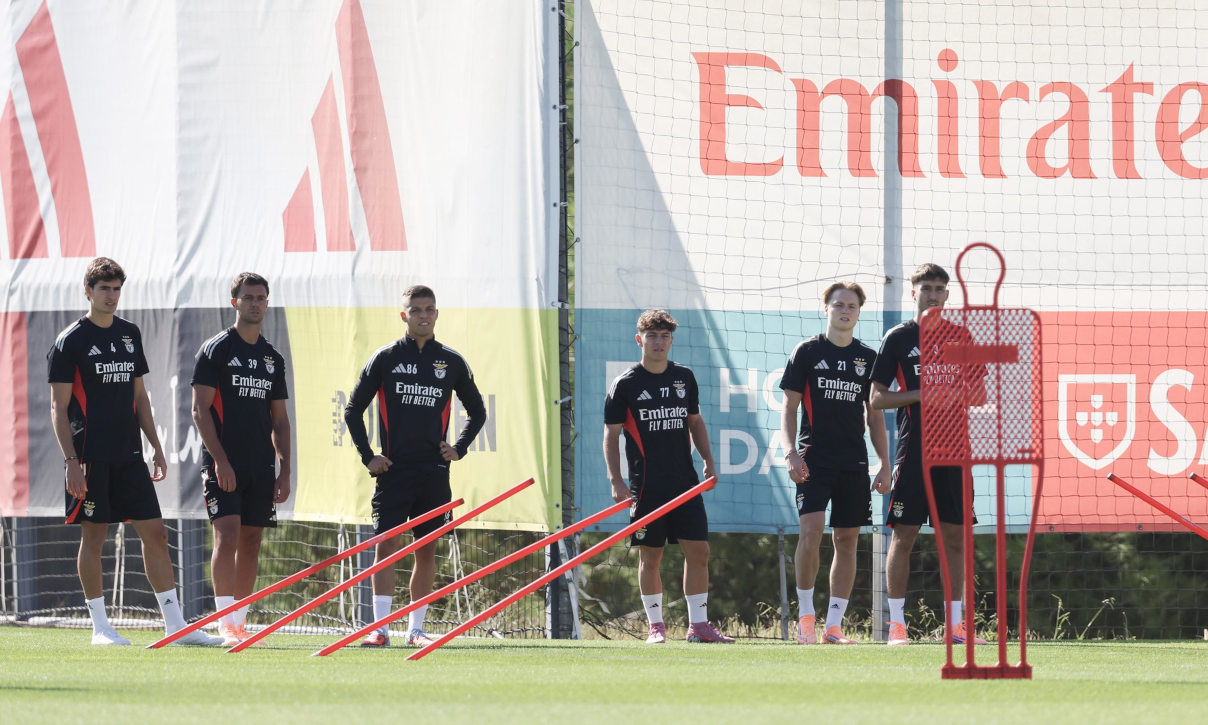 Treino