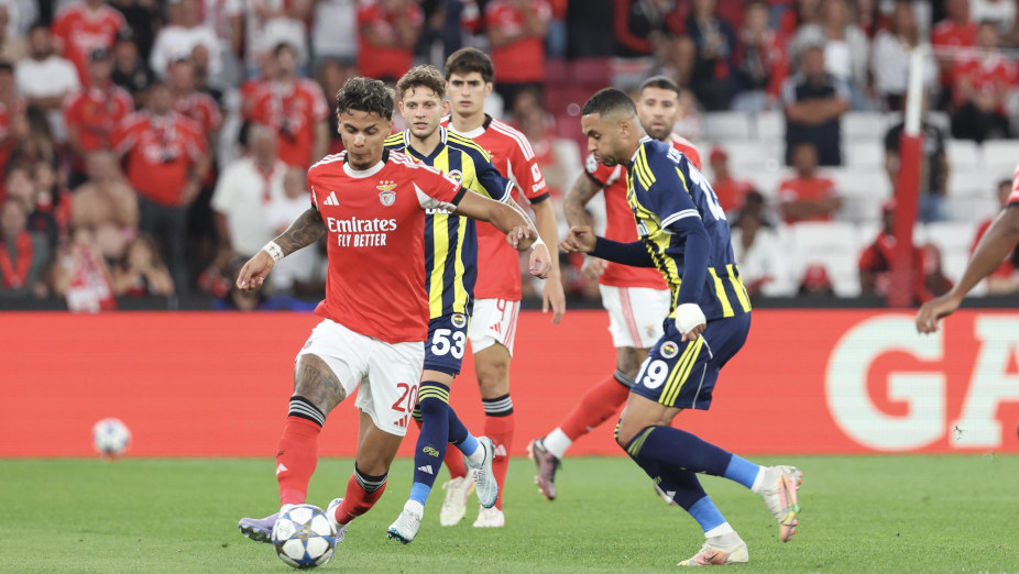 Benfica-Fenerbahçe