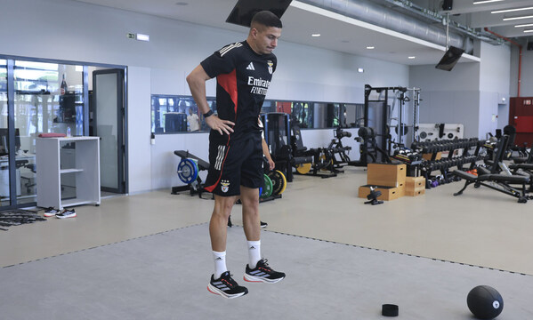 Ivanovic