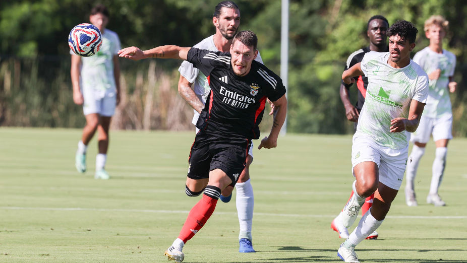 Belotti