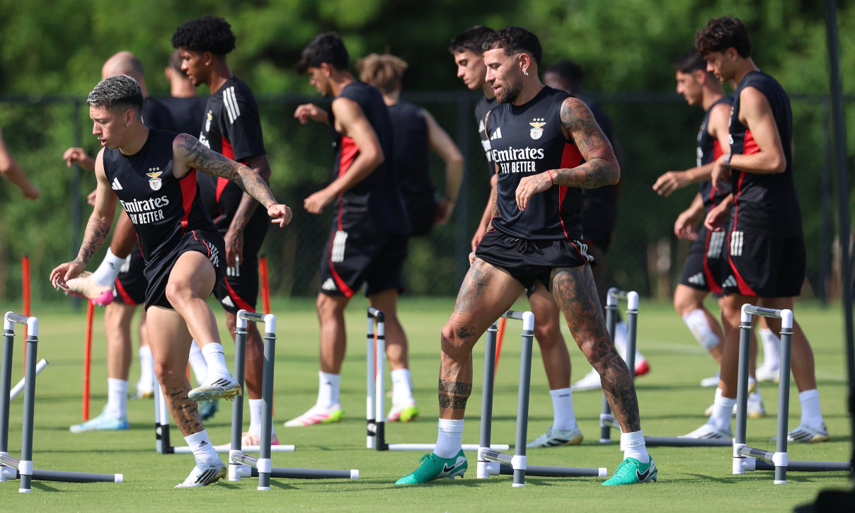 Treino