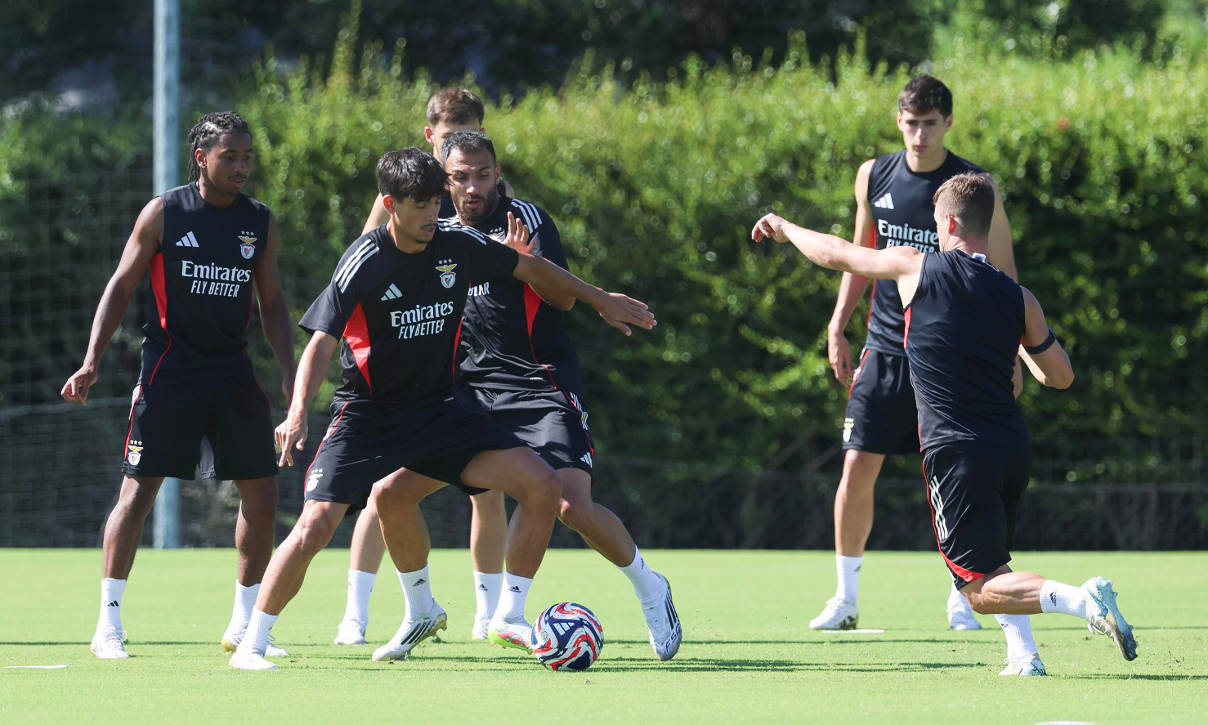 Treino do Benfica, Mundial de Clubes, em Tampa