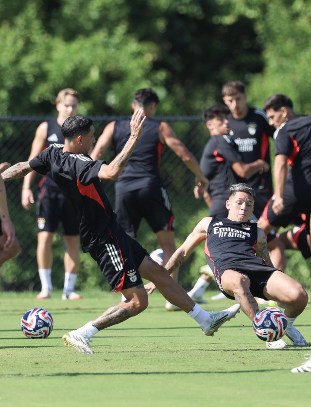 Treino do Benfica