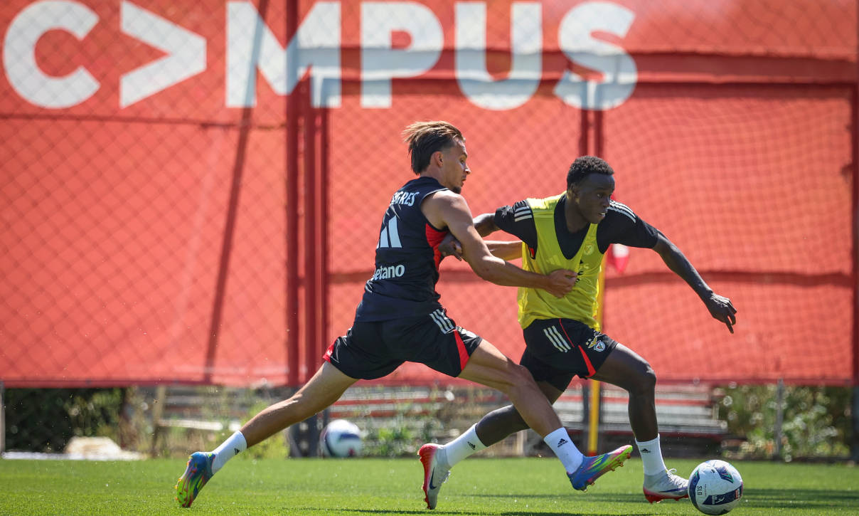 Bruma e Dedic