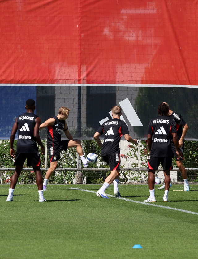 Grupo de trabalho no treino