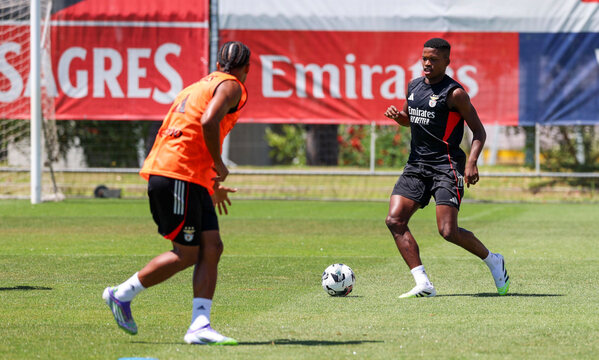 Futebol