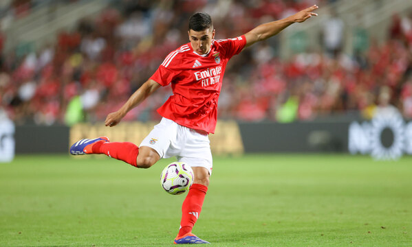Martim Neto