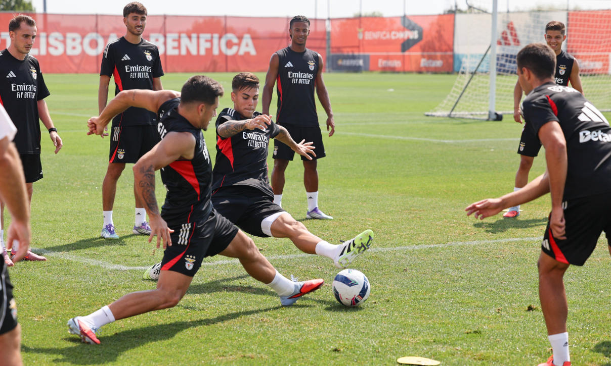 Gonçalo Oliveira e Barrenechea