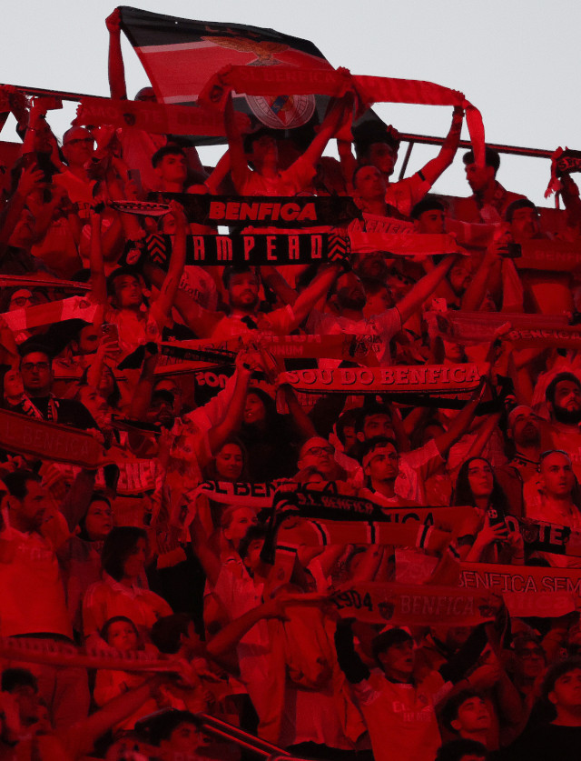 Adeptos do Benfica