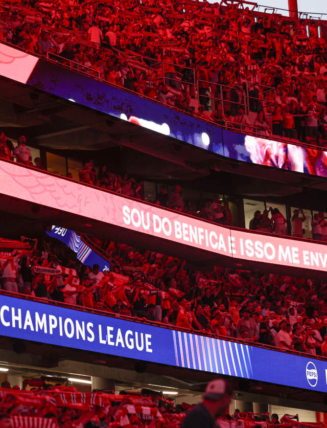 Adeptos do Benfica