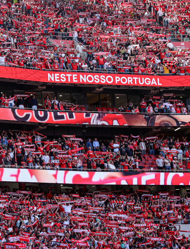 Adeptos do Benfica