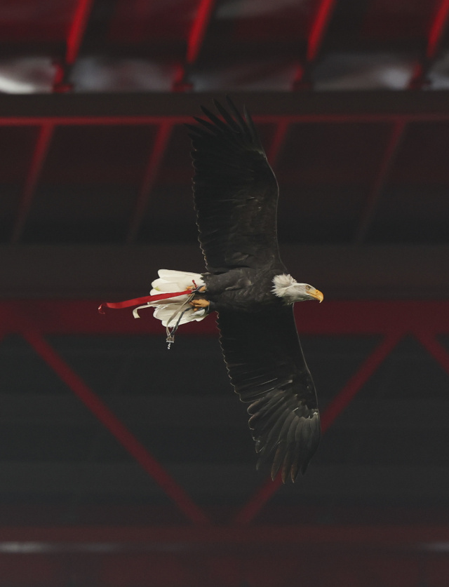SL Benfica