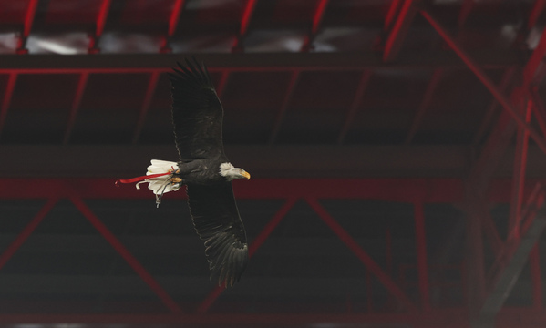SL Benfica