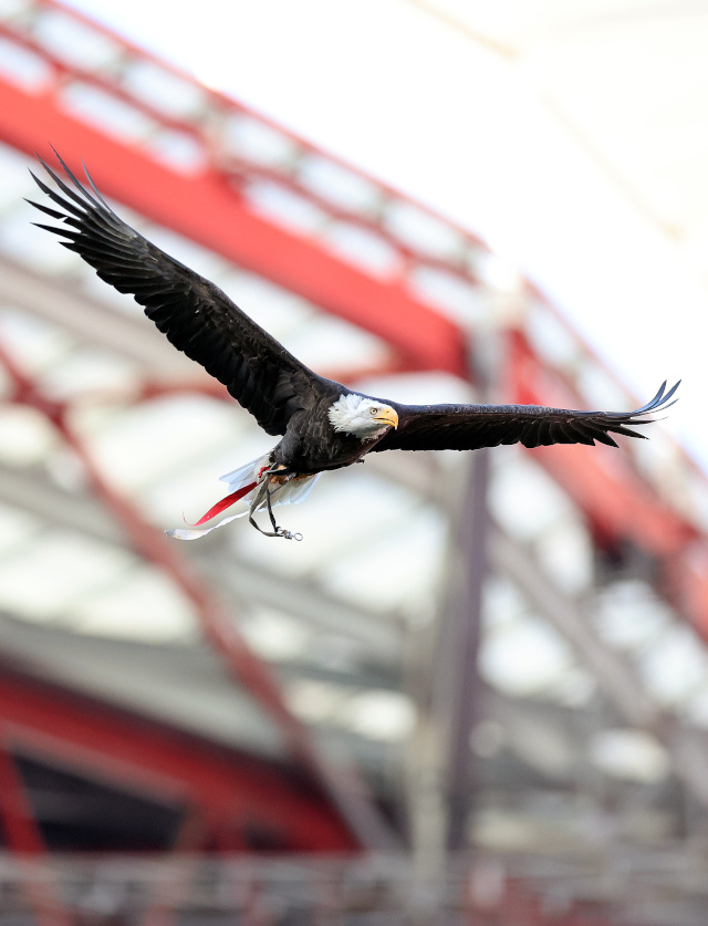 SL Benfica
