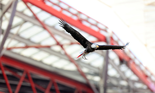 SL Benfica