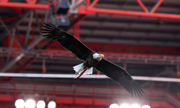 SL Benfica
