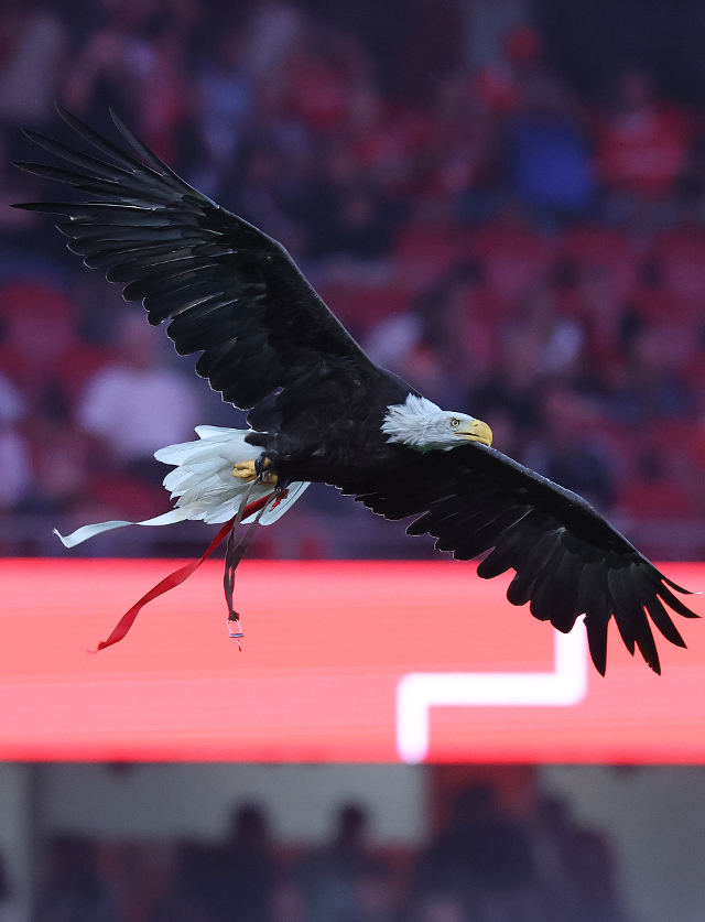 SL Benfica