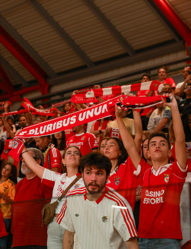 Adeptos do Benfica