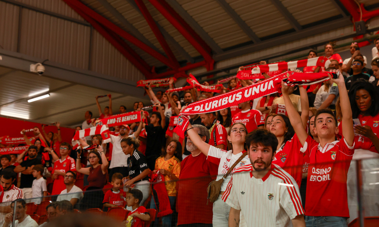 Adeptos do Benfica