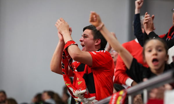 Adeptos do Benfica