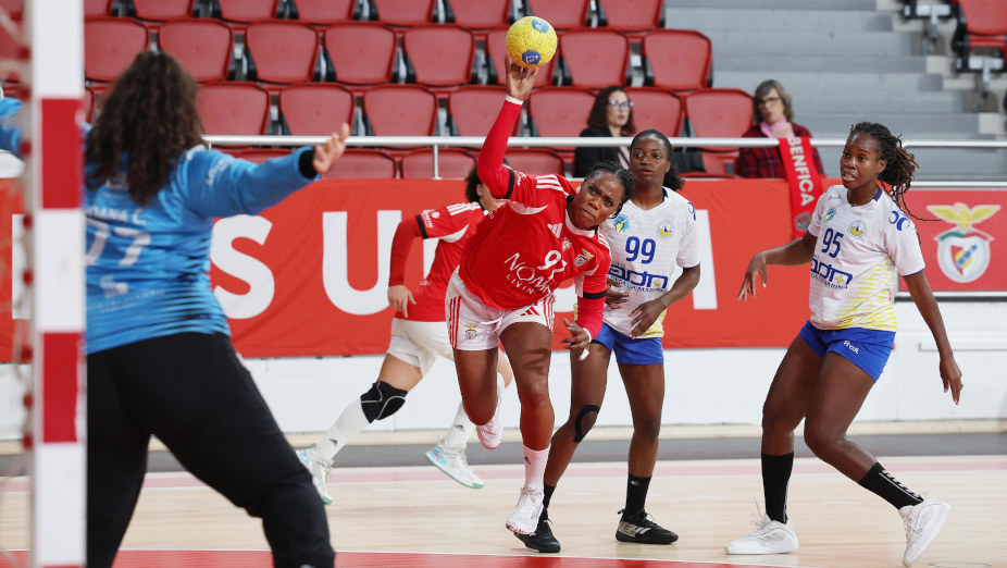Andebol feminino