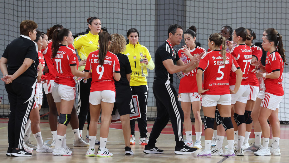 Andebol feminino